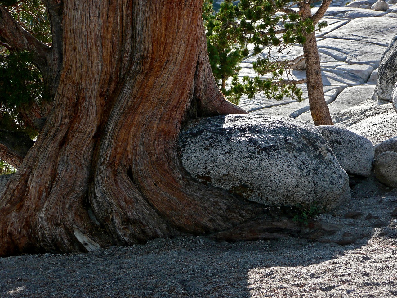 Discovering the Hidden Waterfalls of Yosemite National Park